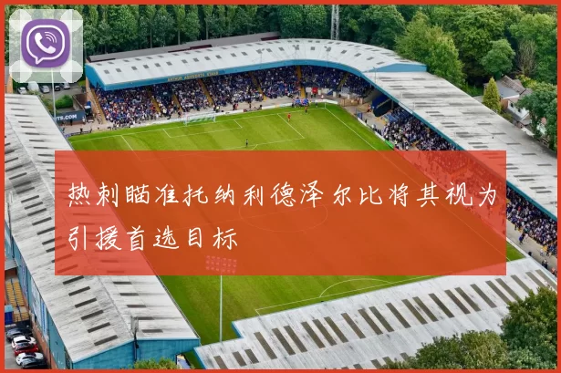 热刺瞄准托纳利德泽尔比将其视为引援首选目标